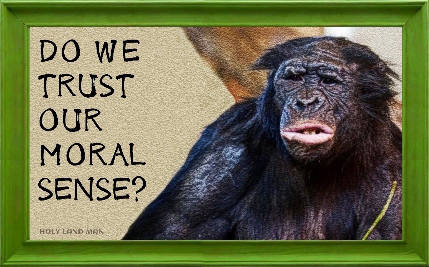 Do we trust our moral sense?