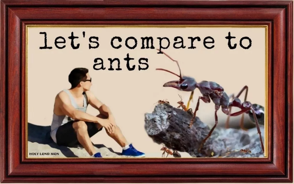 Let's compare to ants