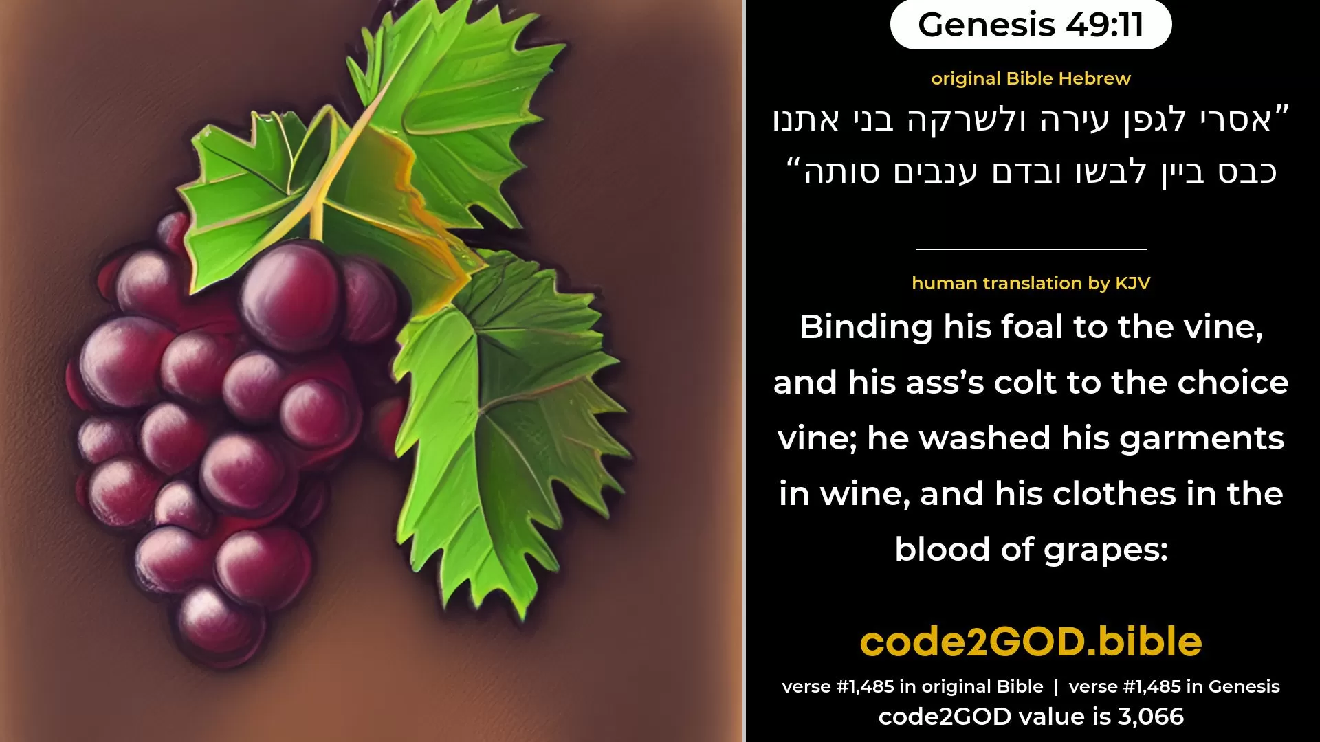 Genesis 49-11≈Binding his foal unto the vine, And his ass’s colt unto the choice vine; He washeth his garments in wine, And his vesture in the blood of grapes; original Bible אסרי לגפן עירה ולשרקה בני אתנו כבס ביין לבשו ובדם ענבים סותה code2GOD