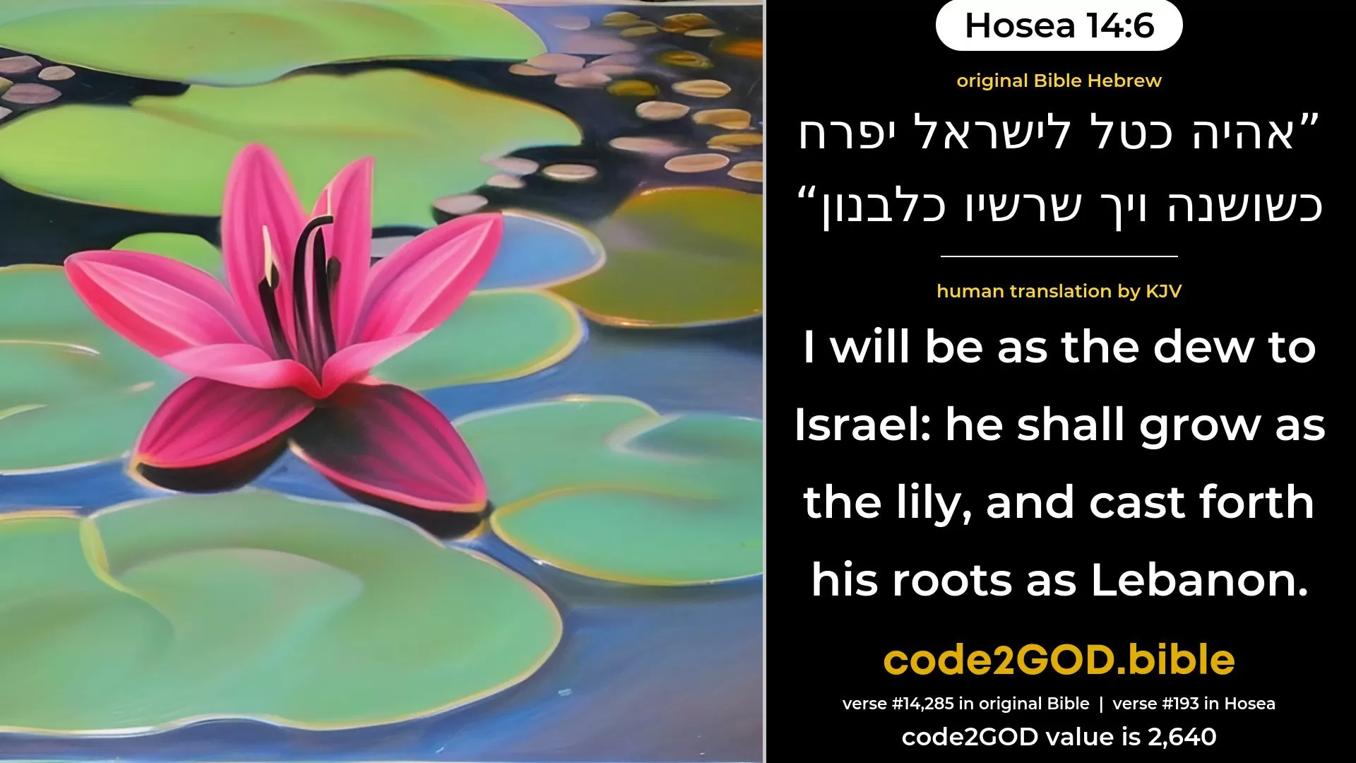 Hosea 14-6≈I will be as the dew unto Israel; He shall blossom as the lily, And cast forth his roots as Lebanon. original Bible אהיה כטל לישראל יפרח כשושנה ויך שרשיו כלבנון code2GOD