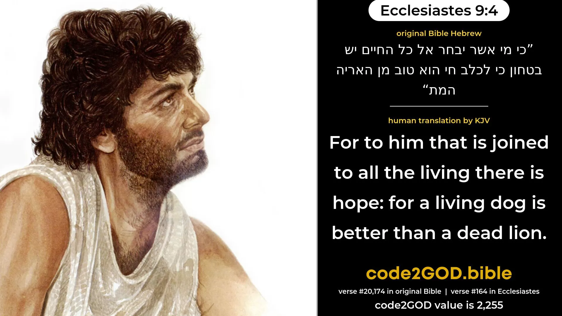 Ecclesiastes 9-4≈ original Bible כי מי אשר יבחר אל כל החיים יש בטחון כי לכלב חי הוא טוב מן האריה המת code2GOD