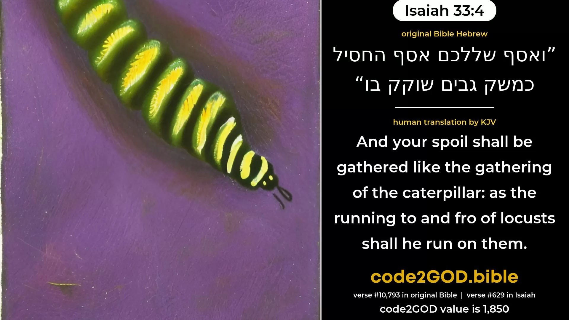 Isaiah 33-4≈And your spoil is gathered as the caterpillar gathereth; As locusts leap do they leap upon it. original Bible ואסף שללכם אסף החסיל כמשק גבים שוקק בו code2GOD