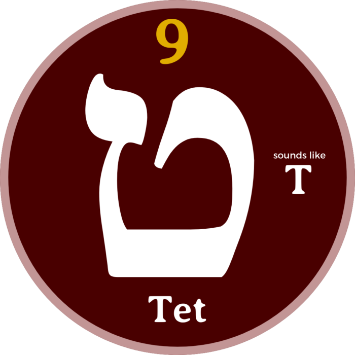 THE BIBLICAL HEBREW LETTERS - Original Bible Foundation: Trust Only The ...
